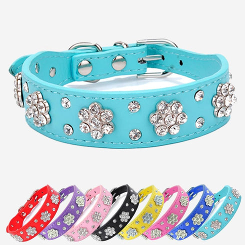 Rhinestone Flower Dog Collar - Sparkling Leather Pet Collar - for Small and Medium Dogs (Blue M)...