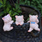 Set of 3 Garden Pig Statues Terrarium Flower Pot Hanger and Vase Hugger Miniature Pig Figurines Fairy Garden Ornaments Cute Animal Planter Hanging...