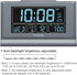 DreamSky Digital Alarm Clock with Battery Backup, 5 Inch Large Display, Auto Set Clock, USB Charging Ports, 12/24H...