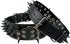 Sharp Spiked Studded Dog Collar - Stylish Leather Dog Collars - 2 Inch in Width Fit for Medium & Large Dogs - Such as Pitbull Mastiff - Black Rive...