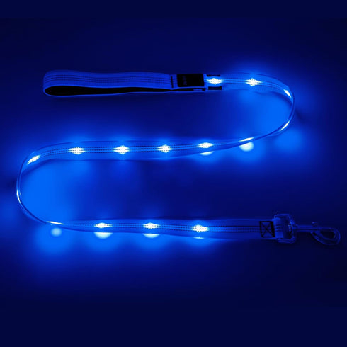 HIGO Rechargeable LED Dog Leash - 42.7" Reflective Light Up Dog Lead, High Visibility Glowing Safety Leash Light for Night Walking (Blue)...