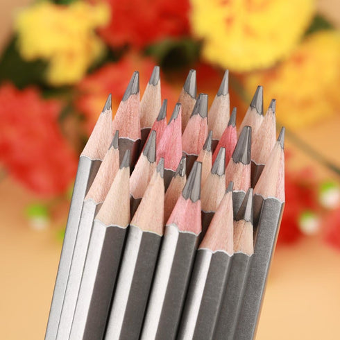 Tekenpotloden, Pencil Non Toxic Colored Paint H9 to H Pencils 9H-14B 24Pcs Sketch Art Graphite Drawing...