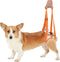 Dog Sling for Back Legs, Dog Hind Leg Auxiliary Belt Adjustable Sling for Small Medium Large Dog (S)...