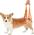 Dog Sling for Back Legs, Dog Hind Leg Auxiliary Belt Adjustable Sling for Small Medium Large Dog (S)...