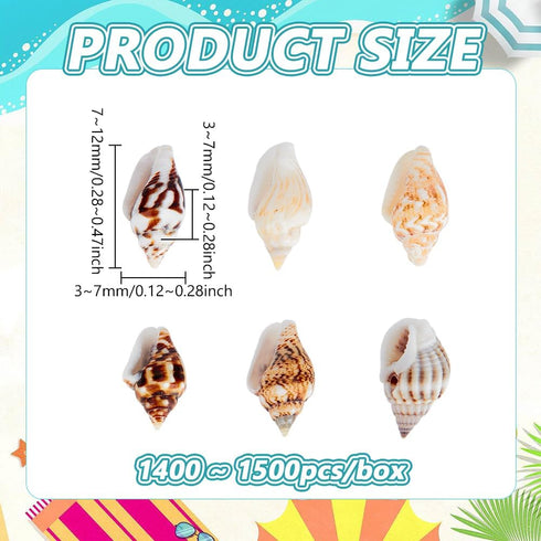 PH PandaHall 1400-1500pcs Tiny Sea Shells 7-12mm Tiny Crushed Shells Miniature Shell NO Hole Seashells Ocean Spiral Seashells for Resin Crafting C...