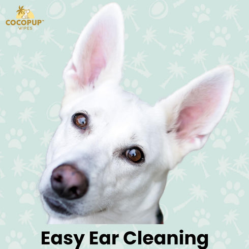 Dog Teeth Cleaning Wipes Ear Nose Paws Fur Cleaner Pure Coconut Oil...