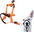 Dog Head Collar Dog Head Halter Collars Headcollars with Safety Strap, Pet Headcollar Stops Pets from Pulling for Outdoor Walk (L)...