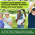 Whole Food B Complex + L-Methylfolate + Probiotics + Digestive Enzymes! High Potency! Vegetarian! for Metabolism, Immune w/Digestive Support! 120 ...
