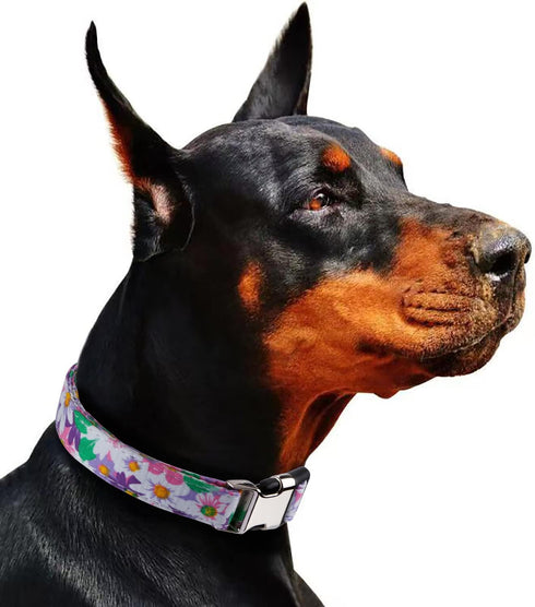 Rhea Rose Cute Floral Dog Collars with Rose Sunflower Daisy Patterns for Girl boy Dogs Purpler Sunflowers L...