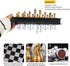 Silver and Golden Travel Chess Set 9.8'' with Game Board - Educational Games for Adults and Kids (9.8''_Silver and Golden)...
