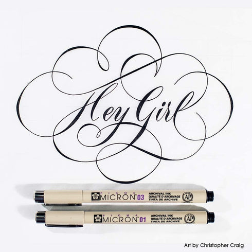 SAKURA Pigma Micron Fineliner Pens - Archival Black Ink Pens - for Writing, Drawing, or Journaling - Assorted Point Sizes - 10 Pack...