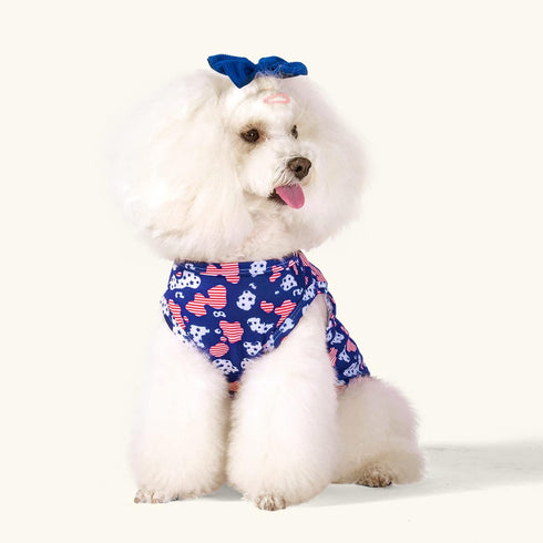 CuteBone 4th of July Dog Shirts 2-Pack Soft Pet Clothes Breathable Summer Vest for Small Puppy and Stretchy Cat Apparel 2BX13XL...