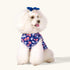 CuteBone 4th of July Dog Shirts 2-Pack Soft Pet Clothes Breathable Summer Vest for Small Puppy and Stretchy Cat Apparel 2BX13XL...