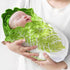 Toddmomy Baby Swaddle Blanket Cabbage Photo Blankets with Hat Infant Swaddle Wrap Unisex Blankets Memory Photography Background Props for Newborn ...