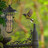 Black Suet Ball Bird Feeder Outdoor Hanging Wire Steel Metal Fat Ball Feeder for Wild Birds...