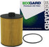 ECOGARD X10023 Premium Cartridge Engine Oil Filter for Conventional Oil Fits Volkswagen Atlas 3.6L 2018-2021, Touareg 3.6L 2012-2017, Passat 3.6L ...