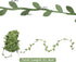 21.8 Yard Leaves Trim Ribbon, Green Leaf Ribbon for Crafts, Artificial Vines for Wedding Party Baby Shower Home Decoration, Foliage Rattan for DIY...