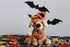 Plushland Halloween Pawpals 8 inches Puppy Dog Plush Stuffed Toy Comes with Hat and Halloween Jack O Lantern - Pumpkin for Kids on This Holiday (L...