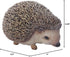 Hi-Line Gift Ltd Sitting Hedgehog Statue...