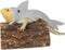 HAICHEN TEC Lizard Clothes for Bearded Dragon - Shark Costume Outfit Handmade Lizard Shark Apparel Skin Protection Photo for Lizard Bearded Dragon...