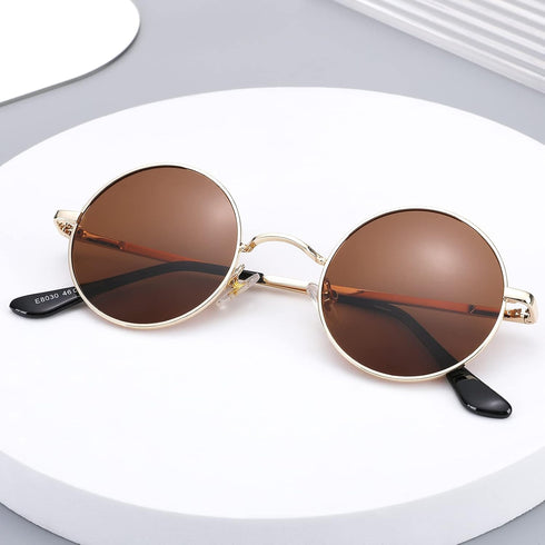 Pro Acme Small Round Polarized Sunglasses for Men Women Circle Retro Shades Metal Hippie Sunglasses UV400...