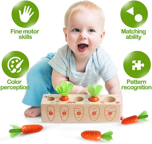 Montessori Wooden Toys Carrot Harvest Game Preschool Educational Learning Fine Motor Skills Shape Size Matching Toys Birthday Easter Basket Stuffe...