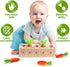 Montessori Wooden Toys Carrot Harvest Game Preschool Educational Learning Fine Motor Skills Shape Size Matching Toys Birthday Easter Basket Stuffe...