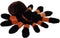 Wild Republic Tarantula Plush, Stuffed Animal, Plush Toy, Gifts for Kids, Cuddlekins 12 Inches, Black, Orange, Brown...