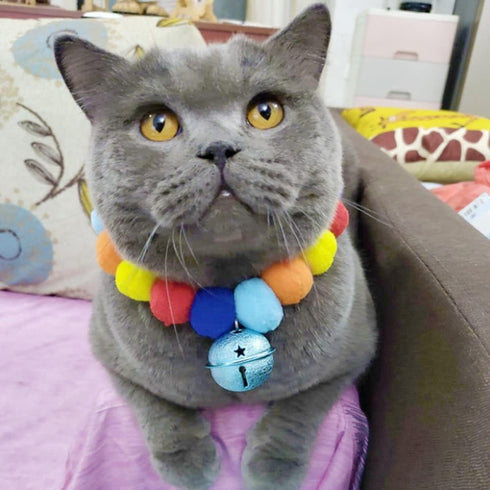 Pom Pom Dog Collar Elastic Cat Collar Decorative Plush Ball Puppy Necklace Eye-catching Pom Pom Pet Collar Necklace with Bell for Taking Photos, W...
