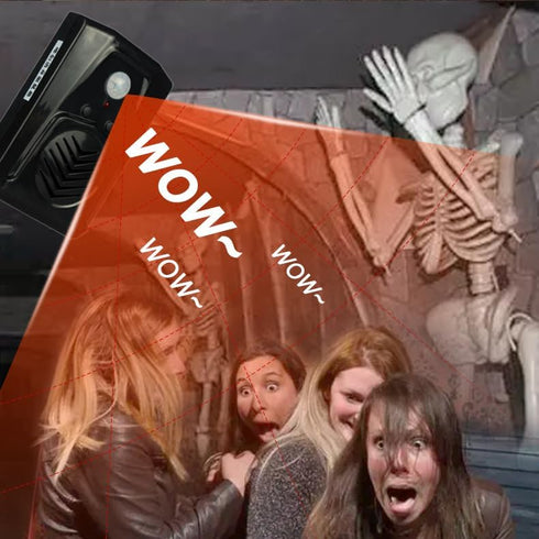Replaceable Voice Motion Sensor PIR Infrared Sound Player Haunted House Scream Box Speaker with USB Download Function Christmas MP3 Horror Happy M...
