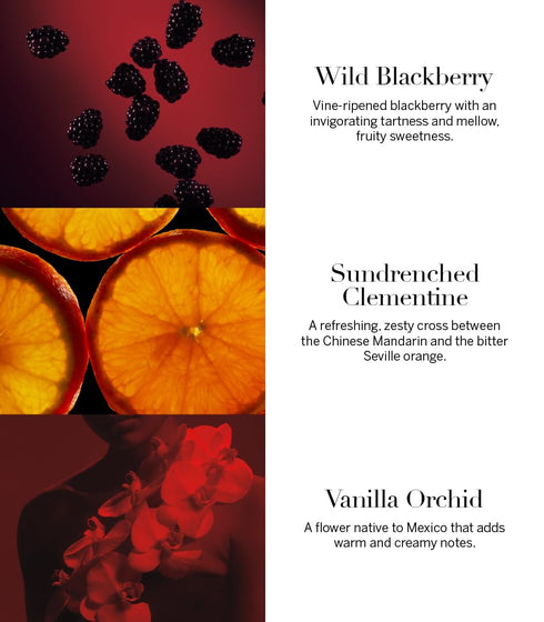 Victoria's Secret Very Sexy Body Spray for Women, Notes of Vanilla Orchid, Sun-Drenched Clementine, Wild Blackberry, Very Sexy Collection (2.5 oz)...