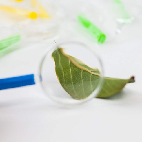 Huji 24 Pack Plastic Magnifying Glasses - Perfect for Kids' Parties, Birthdays, and Educational School Activities...