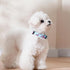 Airtag Dog Collar, HSIGIO Adjustable Dog Collar Nylon Floral Dog Collar with Waterproof & Removable Airtag Holder, Ultra-Soft GPS Tracker Dog Coll...
