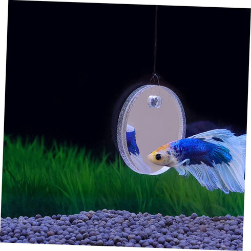Fish Tank Accessories Beta Fish Tank 1 Set Betta Training Mirror Double Sided Mirror Acrylic Float 6cm Transparent Beta Fish Bowl Fish Tank Decor...