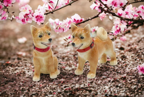 20777 Fine Porcelain Shiba Inu Dog Salt and Pepper Shakers Set, 3-5/8" L...