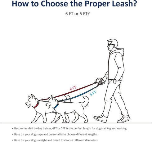 WePet Dog Training Slip Leash, No Pull, Durable Reflective Lead, Puppy Heavy Duty Loop Rope, Comfortable Handle, 6 ft, 3/8 inch, diam. Black/White...
