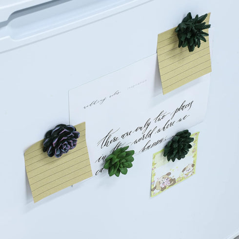 Plant Pattern 3D Resin Succulent Fridge Refrigerator Magnets, White Board Magnets for Home Refrigerator Office Display Board, Set of 8...
