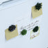 Plant Pattern 3D Resin Succulent Fridge Refrigerator Magnets, White Board Magnets for Home Refrigerator Office Display Board, Set of 8...