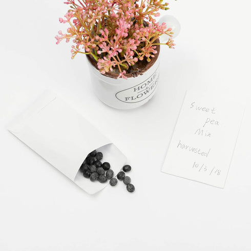 200 Pack Small Coin Envelopes Kraft Paper Seed Envelopes Mini Parts Small Items Stamps Storage Packets Envelopes Self-Adhesive for Garden, Office ...