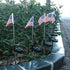 Epicgadget Solar Lights Outdoor, Outdoor Led Pathway Landscape Solar Lights Solar Powered Garden Lights American Flag Shaped Decor Stake Lights fo...