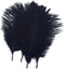 Shekyeon Black 10-12inch 25-30cm Ostrich Feather Home Decoration DIY Craft Pack of 10...
