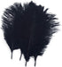 Shekyeon Black 10-12inch 25-30cm Ostrich Feather Home Decoration DIY Craft Pack of 10...