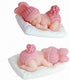 3D Sleeping Baby with a Pillow Soap Mold - MoldFun Baby Shower Silicone Mold for Fondant, Cake Topper Decorating, Lotion Bar, Chocolate, Wax Crayo...