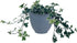 The HC Companies 8 Inch Garden Wall Planter - Plastic Hanging Plant Pot for Indoor Outdoor Flowers, Herbs, Slate Blue...