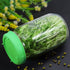 12 Pack Plastic Sprouting Lids for 86mm Wide Mouth Mason Jars, Sprouting Strainer Lid for Canning Jars, Suit for Grow Bean Sprouts, Alfalfa, Salad...