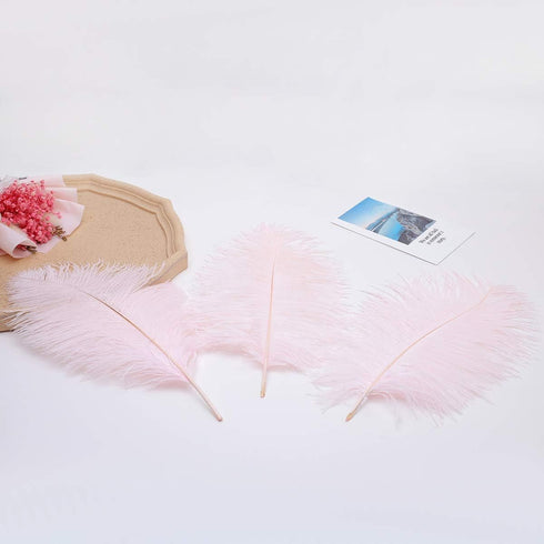 12pcs Natural Light Pink Ostrich Feathers 12-14inch (30-35cm) for Wedding Party Centerpieces?Flower Arrangement and Home Decoration....
