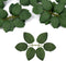 Fake Leaves for Roses Decorations, 80pcs Bulk Green Rose Leaves with Stems for DIY Wedding Bouquets Centerpieces Party Decorations Rose Vine Wreat...
