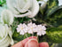 HukDok Mini Flowers with Thread Stem Mulberry Paper Flower Embellishment Card Craft Supplies Scrapbooking DIY Card Crafts Projects. (White)...
