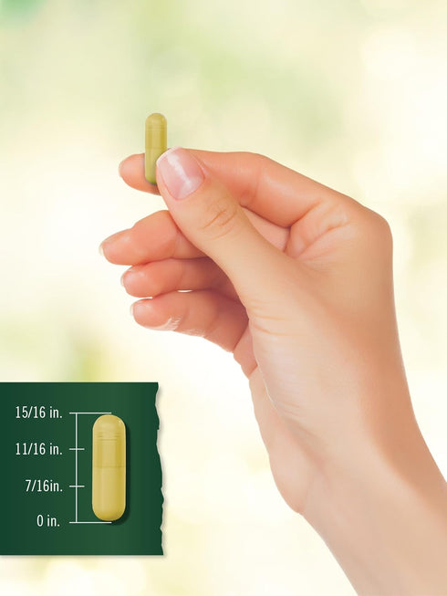 Turmeric Supplement | 1500 mg | 150 Capsules | Turmeric Curcumin Complex with Black Pepper | Non-GMO and Gluten Free...