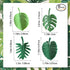 Plant Fridge Magnets,8 Pcs Mini Tropical Leaves Refrigerator Magnets Cute Magnets for Locker Fridge Home Office Decor, 3D Monstera Plant Refrigera...